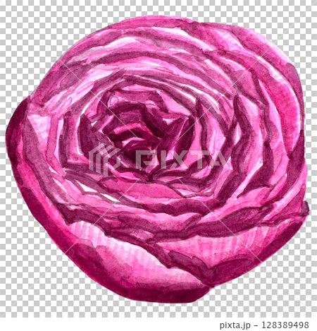 Beautiful watercolor flower peony for your design and floral pattern for wallpaper or fabric Beautiful watercolor flower peony for your design and floral pattern for wallpaper or fabric 128389498