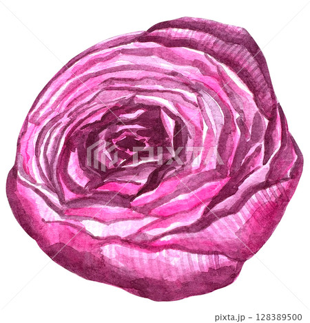 Beautiful watercolor flower peony for your design and floral pattern for wallpaper or fabric Beautiful watercolor flower peony for your design and floral pattern for wallpaper or fabric 128389500