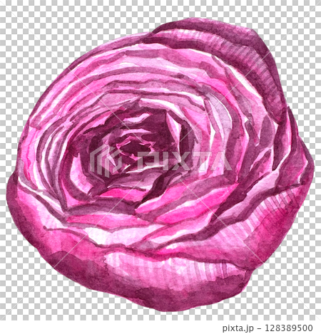 Beautiful watercolor flower peony for your design and floral pattern for wallpaper or fabric 128389500