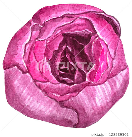 Beautiful watercolor flower peony for your design and floral pattern for wallpaper or fabric 128389501