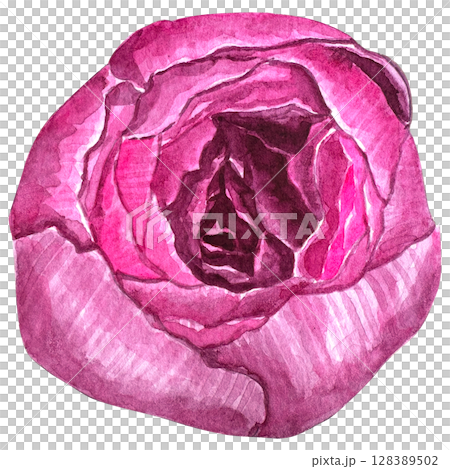 Beautiful watercolor flower peony for your design and floral pattern for wallpaper or fabric Beautiful watercolor flower peony for your design and floral pattern for wallpaper or fabric 128389502
