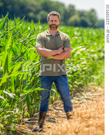 Farmer check wheat. Agricultural wheat at harvest time. Countryside crop. Agronomist man harvesting at crop field. Ripe agriculture. Harvest man field. Farmer agronomist. Crop harvest. Best quality Farmer check wheat. Agricultural wheat at harvest time. Countryside crop. Agronomist man harvesting at crop field. Ripe agriculture. Harvest man field. Farmer agronomist. Crop harvest. Best quality 128389510