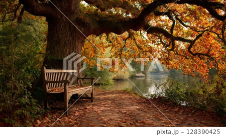 Autumnal Park Bench by Lake with Oak Tree 128390425