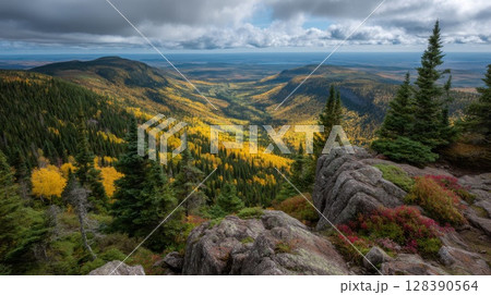 Autumnal Mountain Valley Landscape with Golden Aspen Trees 128390564