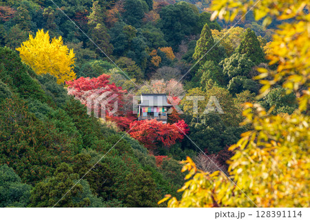秋の紅葉と黄葉の山に佇む妙見堂 大悲閣千光寺 京都嵐山 秋の紅葉と黄葉の山に佇む妙見堂 大悲閣千光寺 京都嵐山 128391114