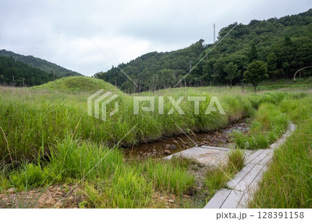日本の兵庫県神河町の砥峰高原の美しい夏の風景 日本の兵庫県神河町の砥峰高原の美しい夏の風景 128391158