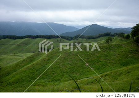 日本の兵庫県神河町の砥峰高原の美しい夏の風景 128391179