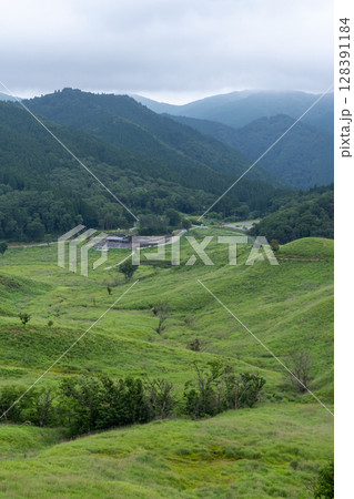 日本の兵庫県神河町の砥峰高原の美しい夏の風景 日本の兵庫県神河町の砥峰高原の美しい夏の風景 128391184