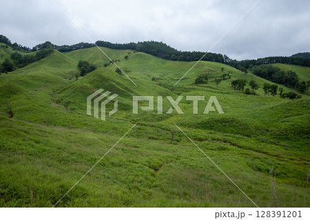 日本の兵庫県神河町の砥峰高原の美しい夏の風景 日本の兵庫県神河町の砥峰高原の美しい夏の風景 128391201