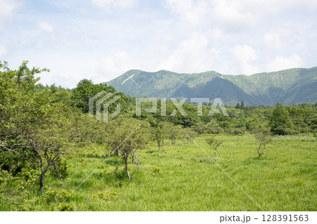沼ッ原湿原の風景(栃木県那須塩原市) 沼ッ原湿原の風景(栃木県那須塩原市) 128391563