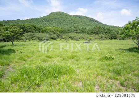 沼ッ原湿原の風景(栃木県那須塩原市) 沼ッ原湿原の風景(栃木県那須塩原市) 128391579