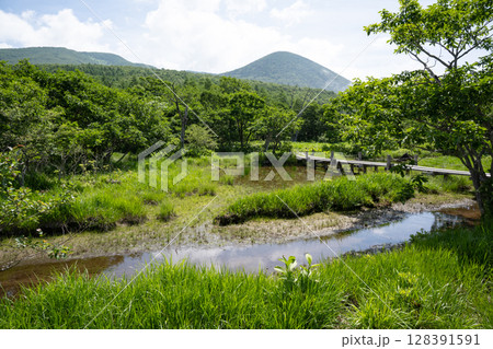 沼ッ原湿原の風景（栃木県那須塩原市） 128391591