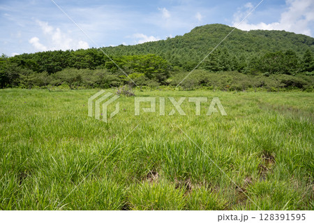 沼ッ原湿原の風景（栃木県那須塩原市） 128391595