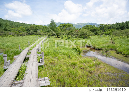 木道のある沼ッ原湿原の風景（栃木県那須塩原市） 128391610