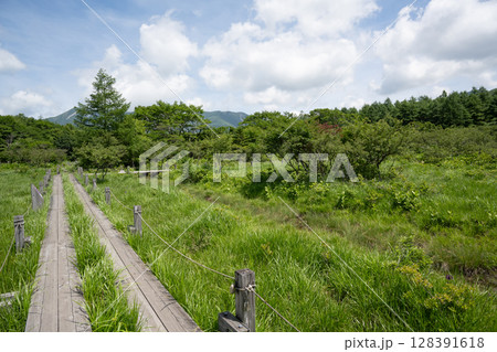 木道のある沼ッ原湿原の風景（栃木県那須塩原市） 128391618