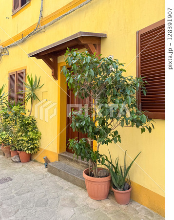 Vibrant yellow house with wooden shutters and a small porch. Several potted plants decorate the entrance, creating a welcoming and fresh atmosphere in an urban setting. 128391907
