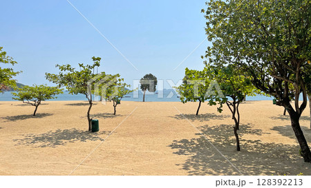 Outdoor beach, sands, trees, water, garden wooden bench in Hong Kong Repulse Bay 128392213