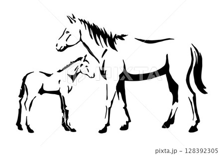 Horse mare with a foal, farm animals with their baby, black and white light and shadow vector illustration for education materials, children book, veterinary content and farm themed content 128392305