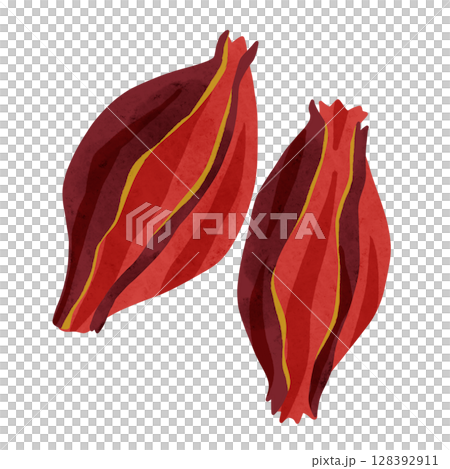 梔子花水彩手繪插畫 梔子花水彩手繪插畫 128392911