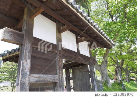 亀城公園(土浦城跡)の前川口門【茨城県土浦市】 亀城公園(土浦城跡)の前川口門【茨城県土浦市】 128392976