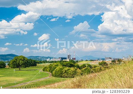淀川河川公園太間地区夏景色　大阪府寝屋川市 128393229