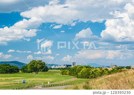 淀川河川公園太間地区夏景色　大阪府寝屋川市 128393230