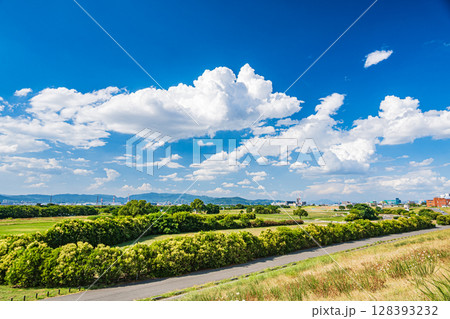 淀川河川公園太間地区夏景色　大阪府寝屋川市 128393232