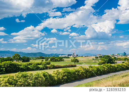 淀川河川公園太間地区夏景色 大阪府寝屋川市 淀川河川公園太間地区夏景色 大阪府寝屋川市 128393233