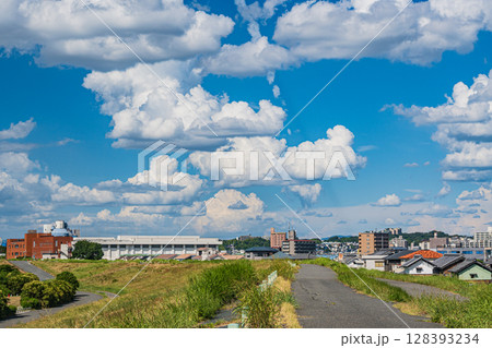 淀川河川公園太間地区夏景色　大阪府寝屋川市 128393234