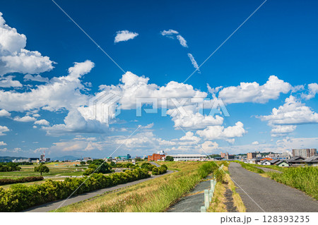 淀川河川公園太間地区夏景色　大阪府寝屋川市 128393235
