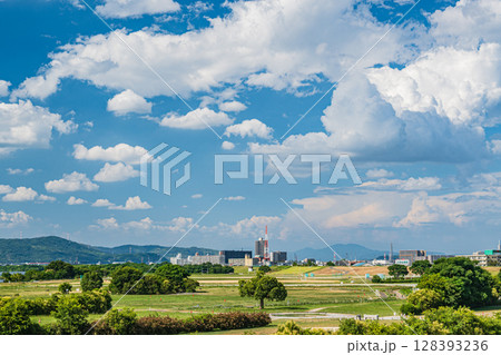 淀川河川公園太間地区夏景色　大阪府寝屋川市 128393236