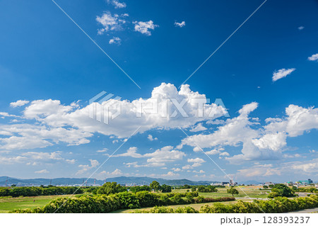 淀川河川公園太間地区夏景色　大阪府寝屋川市 128393237