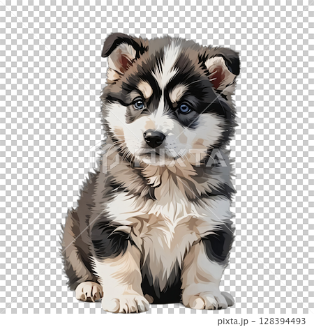 かわいくおすわりしたアラスカンマラミュート（マル）の子犬の切り抜きイラスト 128394493