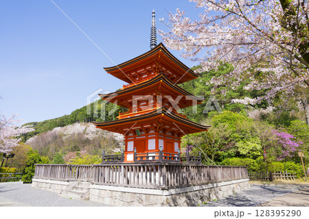 京都　清水寺の子安塔と桜 128395290