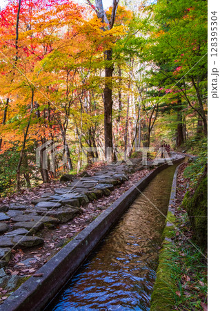 付知峡(秋) 付知峡(秋) 128395304