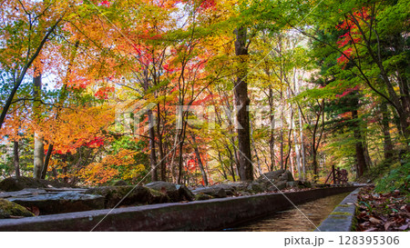 付知峡(秋) 付知峡(秋) 128395306