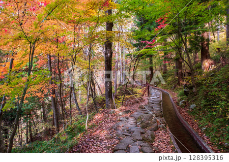 付知峡(秋) 付知峡(秋) 128395316