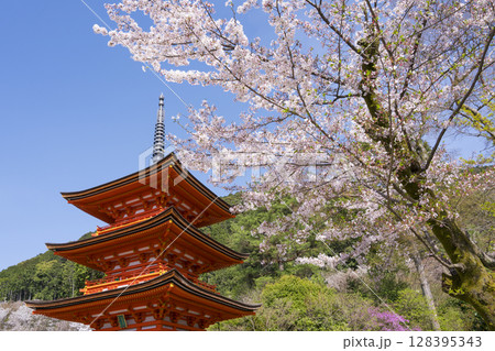 京都　清水寺の子安塔と桜 128395343