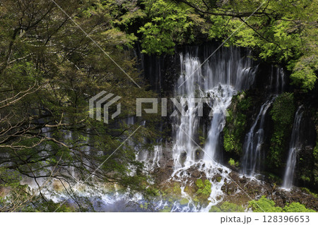 白糸の滝のある風景 白糸の滝のある風景 128396653
