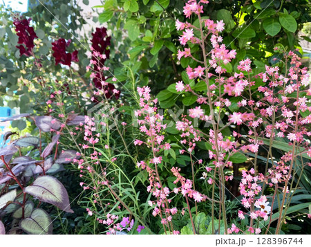 色とりどりの草花が咲く癒しのガーデン風景 128396744