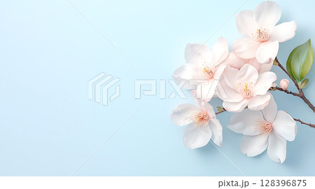Delicate Pink Blossom Branch on Soft Blue Background for Inspirational Nature Imagery 128396875
