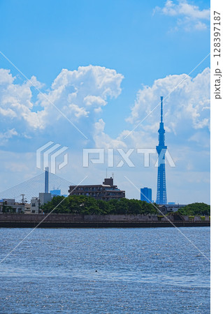 奥戸中川から望むスカイツリーとハープ橋 奥戸中川から望むスカイツリーとハープ橋 128397187