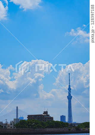奥戸中川から望むスカイツリーとハープ橋 128397188
