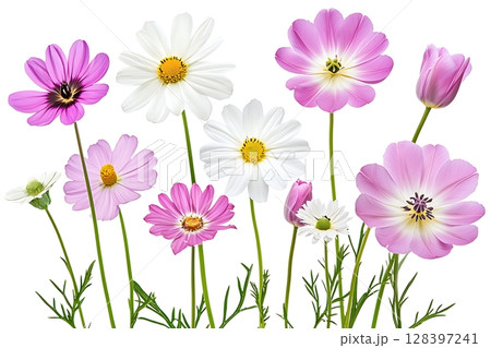 Beautiful Arrangement of Colorful Flowers with Pink and White Blooms in Bright Nature Scene 128397241