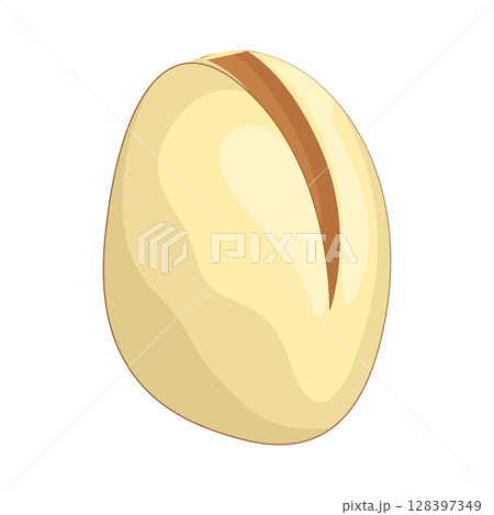 Illustration of Pistachio 128397349