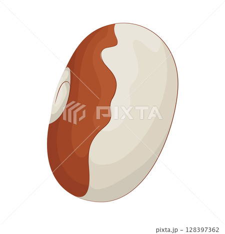 Illustration of Bean 128397362