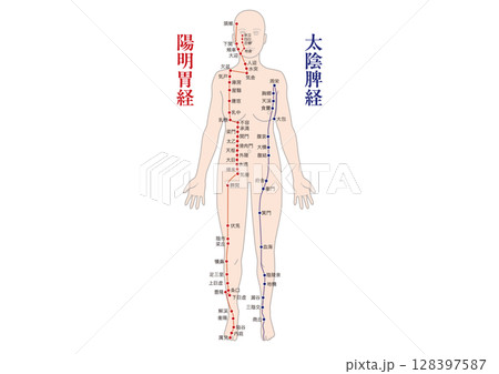 経絡経穴（陽明胃経 太陰脾経）全身図　東洋医学 整体 気功 セラピー 128397587