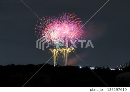 さいたま市花火大会（東浦和／大間木公園会場：2024年） 128397619