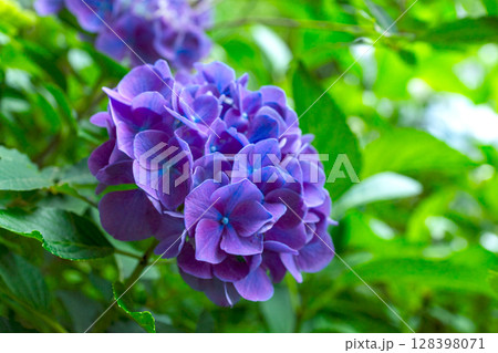 250708神明神社z009 250708神明神社z009 128398071