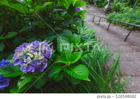 250708神明神社z022 128398082